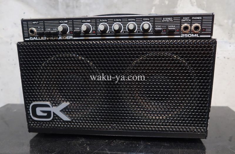 Gallien-Krueger 250ML  (３)