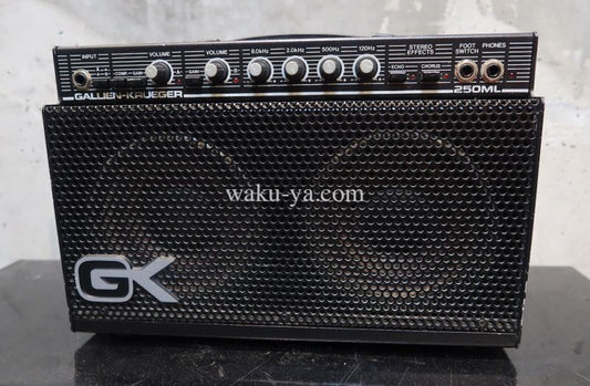 Gallien-Krueger 250ML  (３)