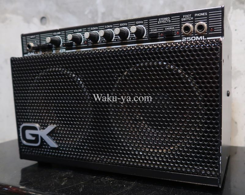 Gallien-Krueger 250ML  (３)