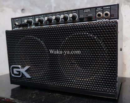 Gallien-Krueger 250ML  (３)