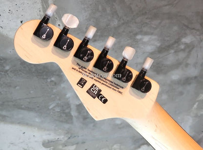 Charvel "Jake E Lee" Signature Model / Pro-Mod