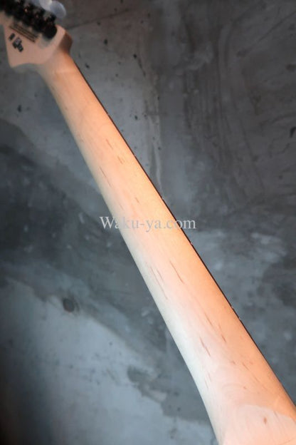 Charvel "Jake E Lee" Signature Model / Pro-Mod