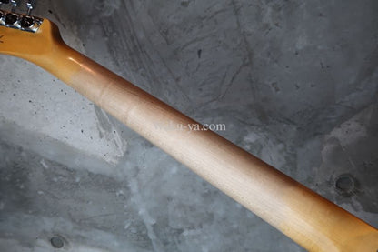 Fender Custom Shop LTD '68 Telecaster Relic Blue Flower