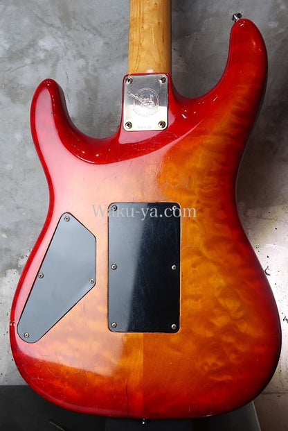 Valley Arts Custom Pro USA '93 / Fire Burst