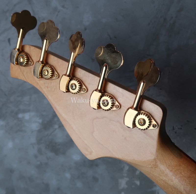 Pensa Custom Curve Top / 5-Strings BASS / Built by Mas Hino