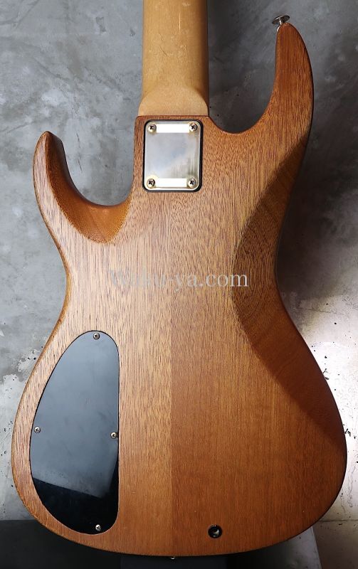 Pensa Custom Curve Top / 5-Strings BASS / Built by Mas Hino