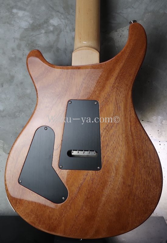 Paul Reed Smith Custom 24 Floyd 10-Top/ Killer TOP/ Faded Blue Jean