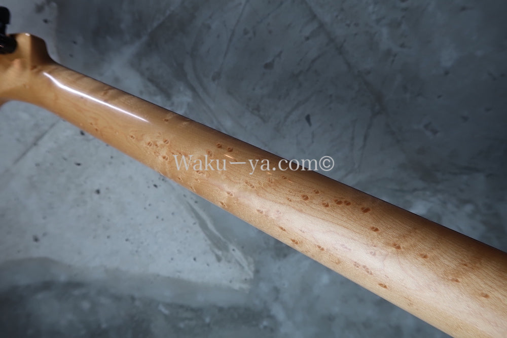 RS Guitarworks Old Friend Contour Hot Rod (Elite) / Ocean Burst