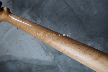 RS Guitarworks Old Friend Contour Hot Rod (Elite) / Ocean Burst