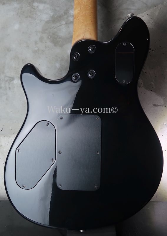 Peavey Wolfgang Standard Custom Shop 1'st / Build by John Douglas