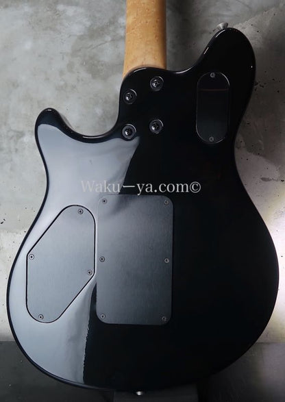 Peavey Wolfgang Standard Custom Shop 1'st / Build by John Douglas