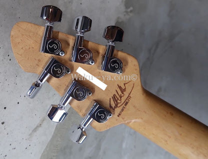 Peavey Wolfgang Standard Custom Shop 1'st / Build by John Douglas