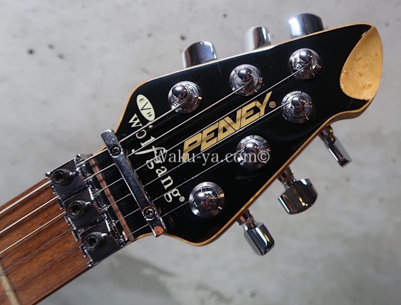 Peavey Wolfgang Standard Custom Shop 1'st / Build by John Douglas