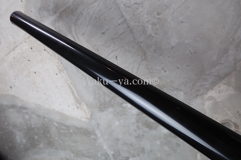 Steinberger XP-2 Black