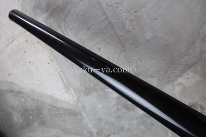 Steinberger XP-2 Black