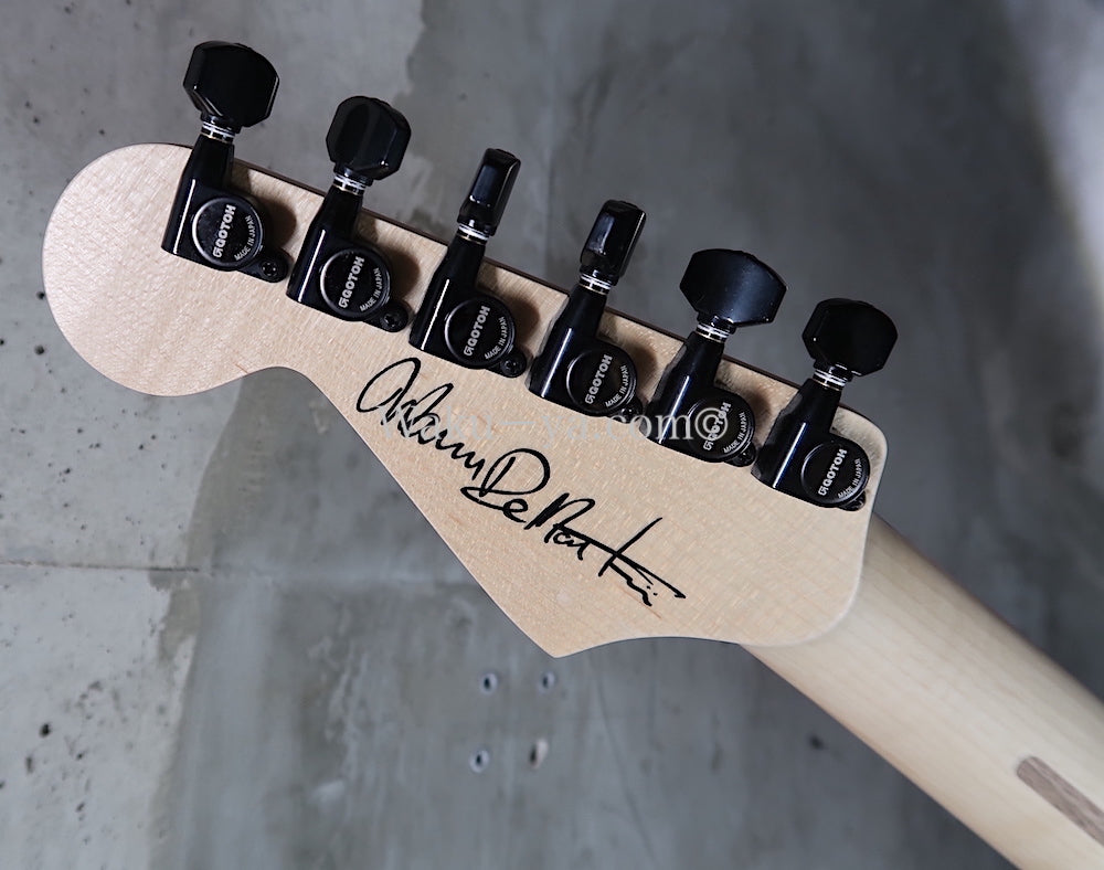 Charvel USA Custom Shop Warren De Martini/ Signature / SnakeSkin Graphic　(1)