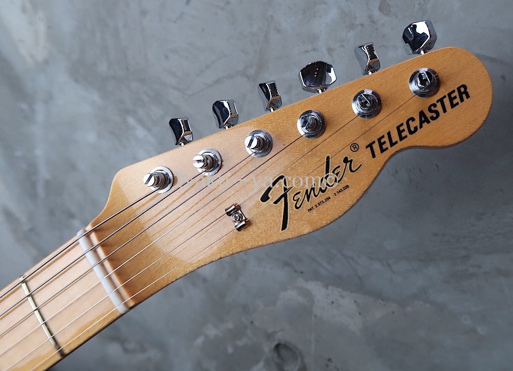 Fender Custom Shop "Carefully selected"　Vintage Custom '68 Telecaster / Pink Paisley