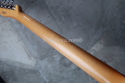 Fender Custom Shop "Carefully selected"　Vintage Custom '68 Telecaster / Pink Paisley