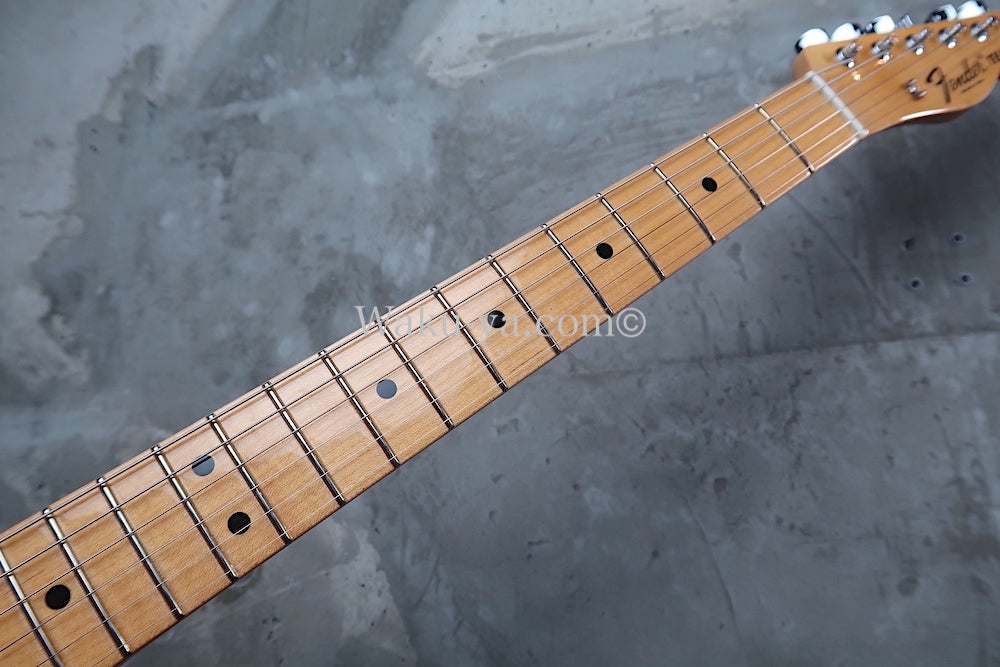 Fender Custom Shop "Carefully selected"　Vintage Custom '68 Telecaster / Pink Paisley