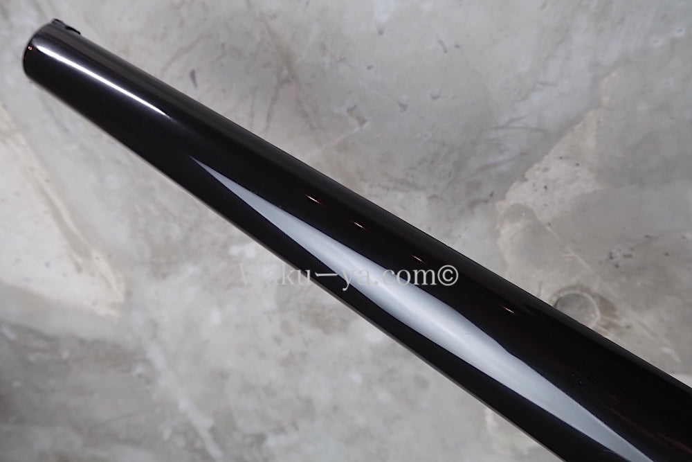 Steinberger GP-4TA '87 / Black