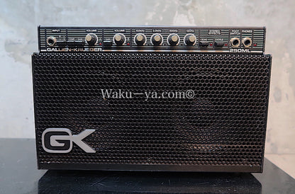 Gallien-Krueger 250ML  (2)