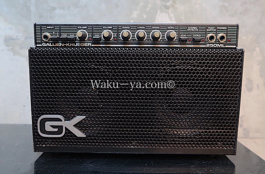 Gallien-Krueger 250ML  (2)