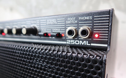 Gallien-Krueger 250ML  (2)