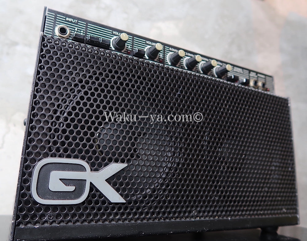 Gallien-Krueger 250ML  (2)