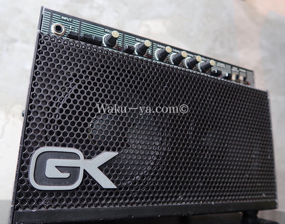 Gallien-Krueger 250ML  (2)